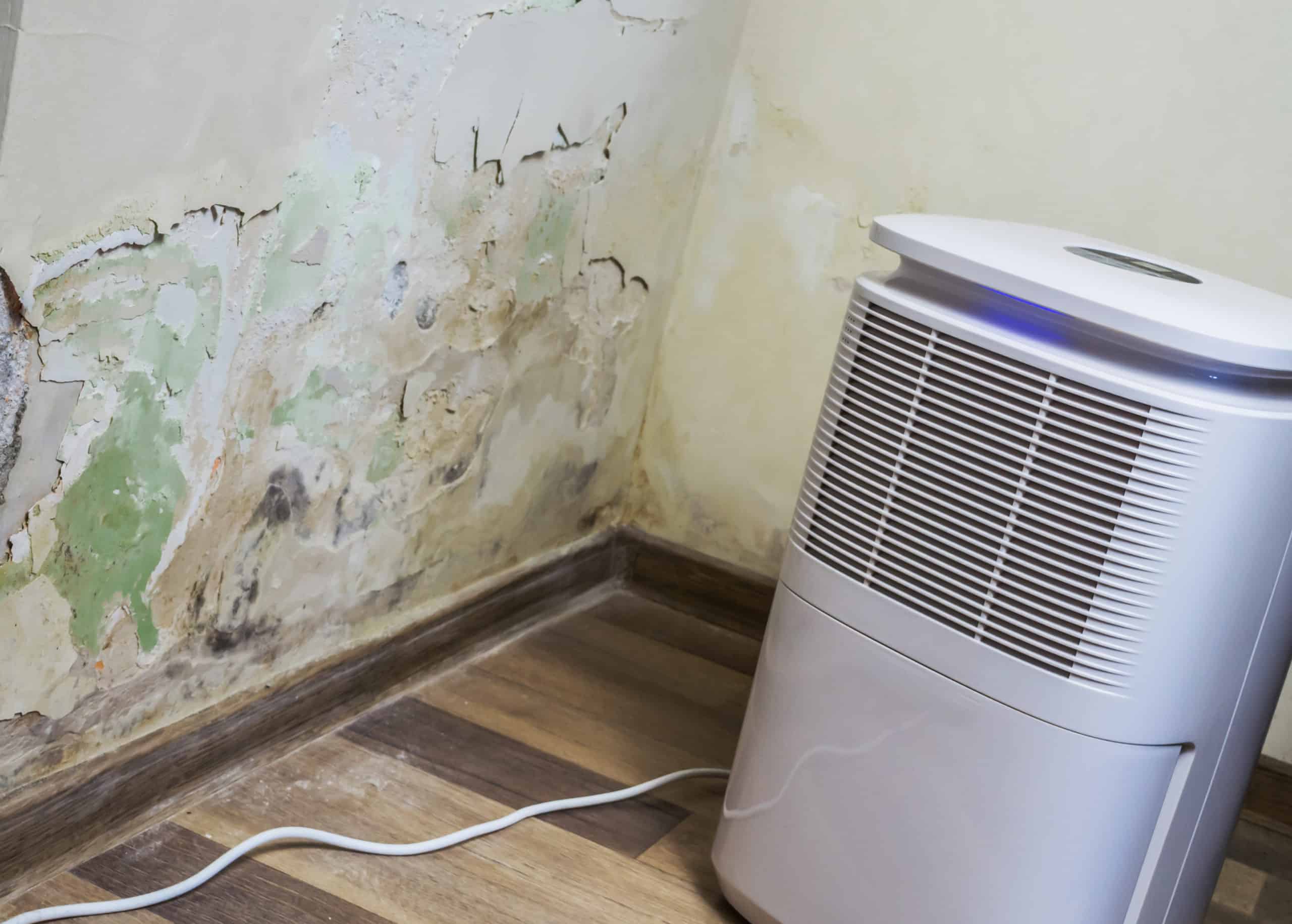 home dehumidifier systems ri